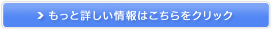 �X�����f�g�p�b�`(�����ɓ\�����DIET�p�b�`)�̔��T�C�g��